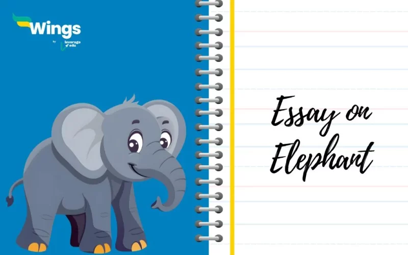 Essay-on-Elephant