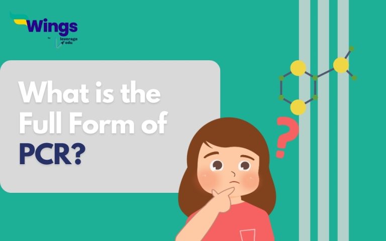 What Is The Full Form Of PCR Leverage Edu what-is-the-full-form-of-pcr-leverage-edu