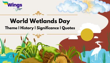 world wetlands day 2024