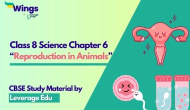 Class 8 Science Chapter 6: Reproduction in Animals