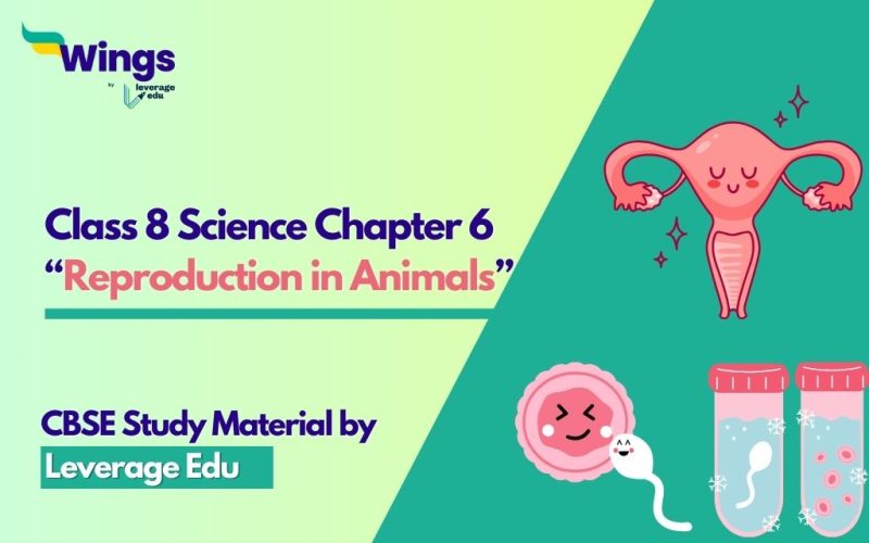 Class 8 Science Chapter 6: Reproduction in Animals