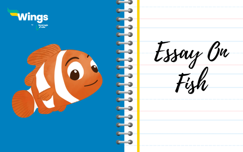 Essay on fish