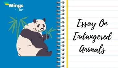 Endangered Animals Essay