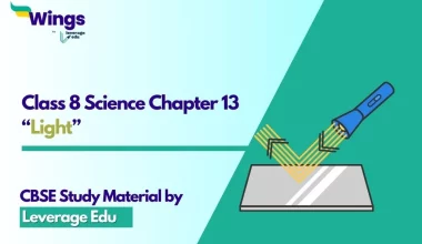 NCERT Class 8 Science Chapter 13
