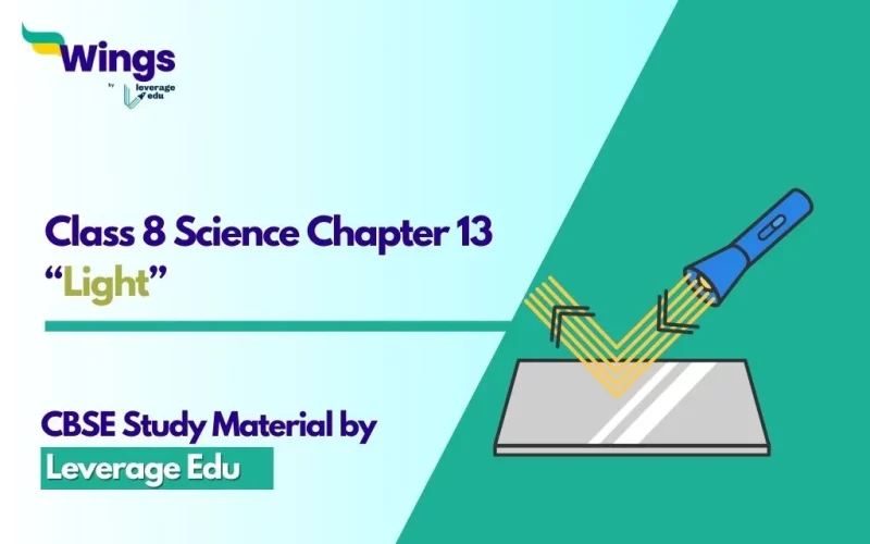 NCERT Class 8 Science Chapter 13
