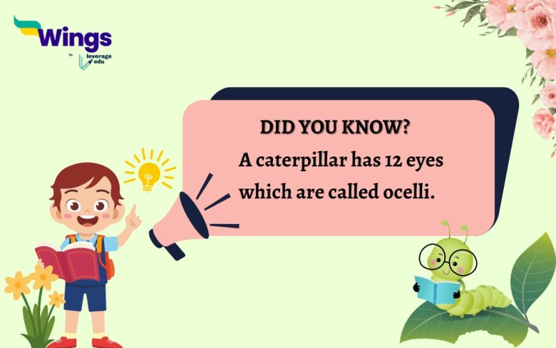 20 Amazing Facts for Students to Wow Their Minds Leverage Edu