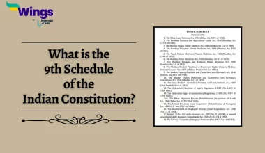 What is the 9th Schedule of the Indian Constitution