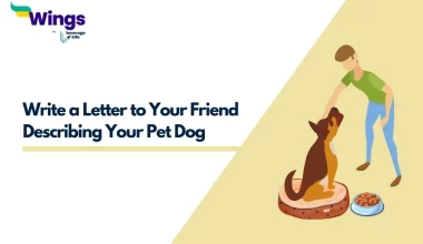 Write a Letter to Your Friend Describing Your Pet Dog