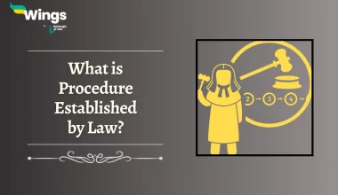 What is Procedure Established by Law