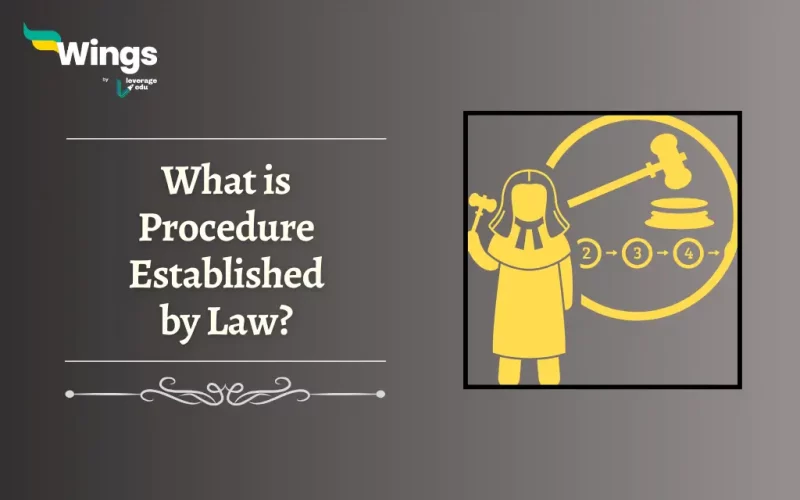 What is Procedure Established by Law