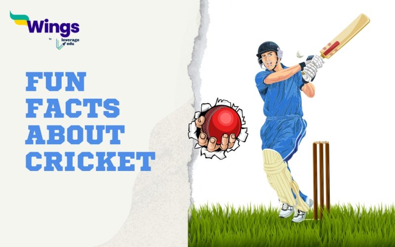 Fun Facts About Cricket