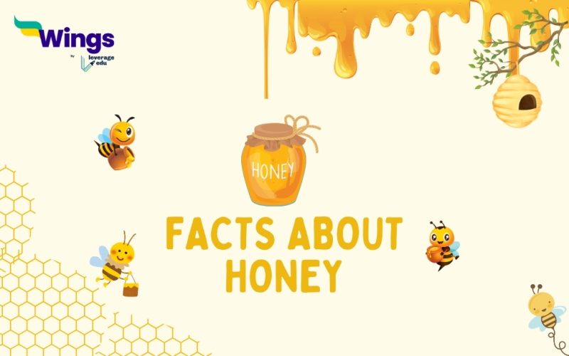 factS about honey
