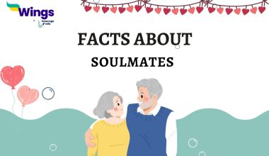 FACTS ABOUT SOULMATES (3)