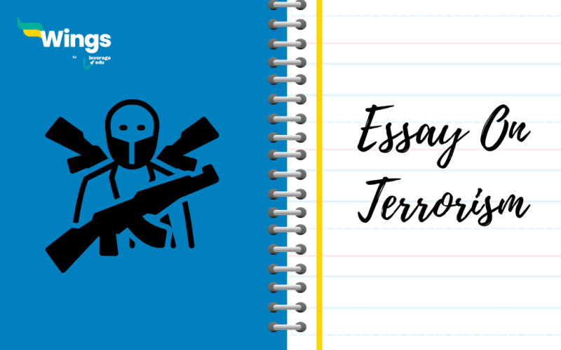 Essay on Terrorism