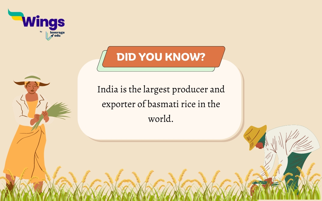 Facts About Rice