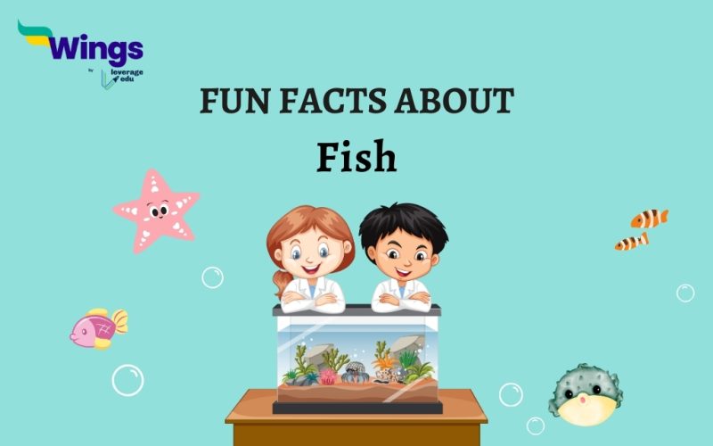 fun FACTS ABOUT fish