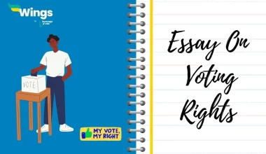 Essay on Voting Rights