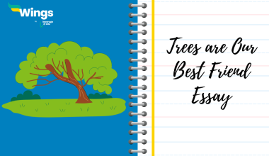 Trees are our best friend essay