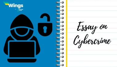 Essay-on-Cybercrime