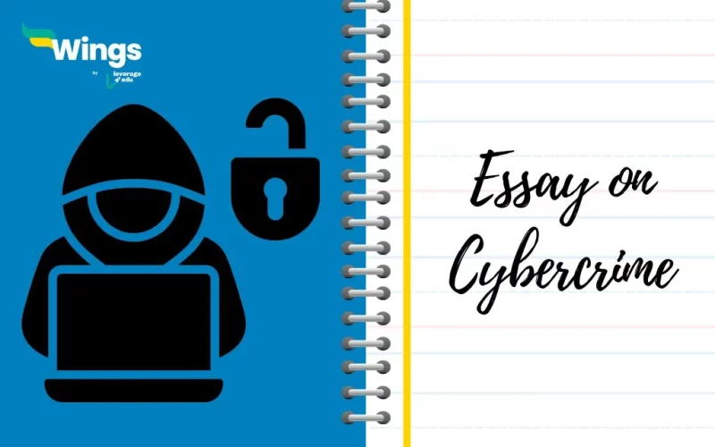 Essay-on-Cybercrime