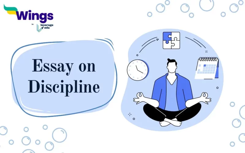 Essay-on-Discipline