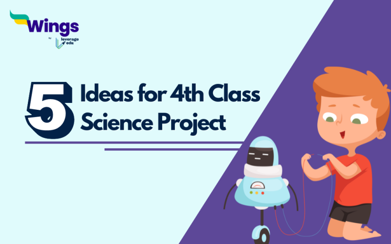 5 Ideas for 4th Class Science Project