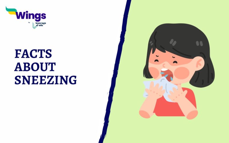 Facts About Sneezing