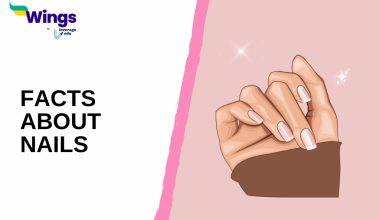 facts about nails