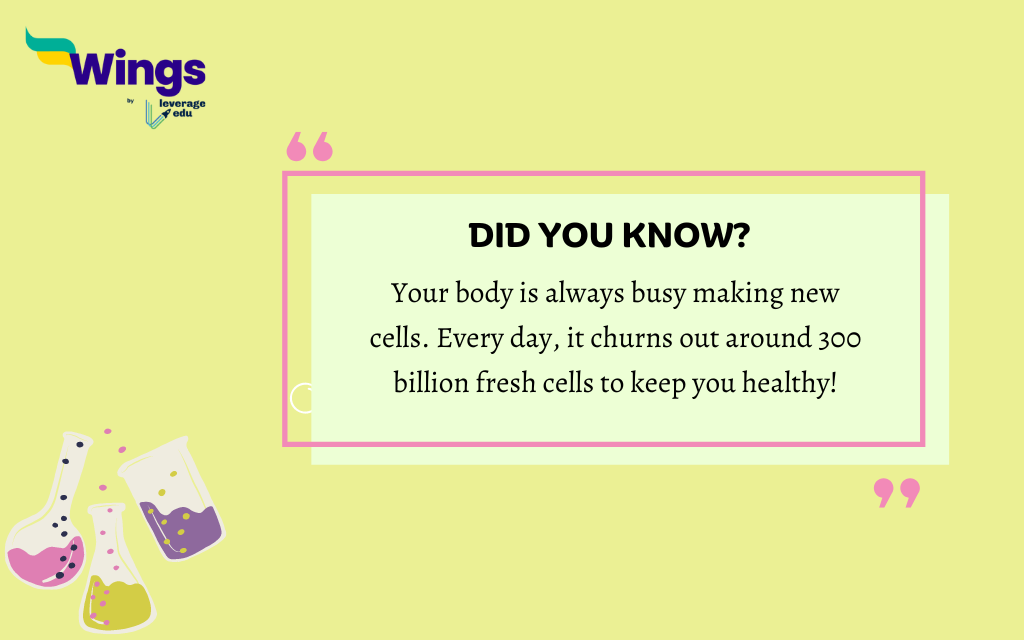 interesting facts about science