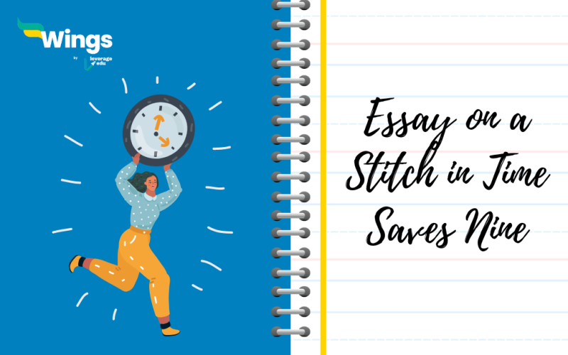Essay on a Stitch in Time Saves Nine