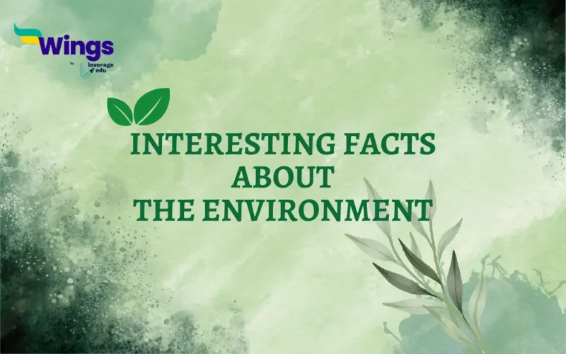 Interesting Facts about the Environment