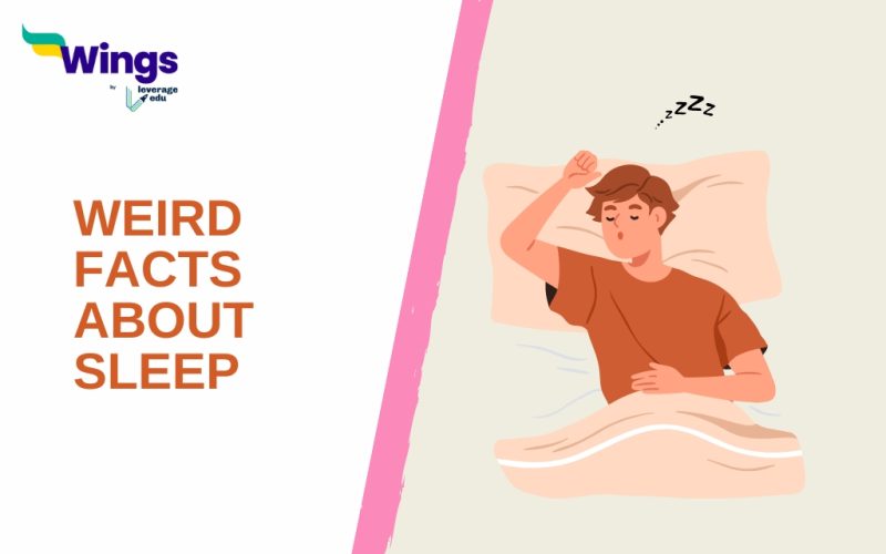 WEIRD FACTS ABOUT sleep