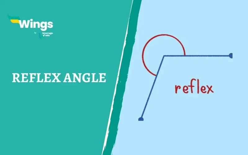 Reflex Angle