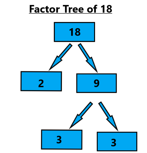 Factor Tree of 18