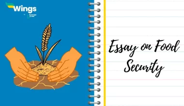 Essay-on-Food-Security