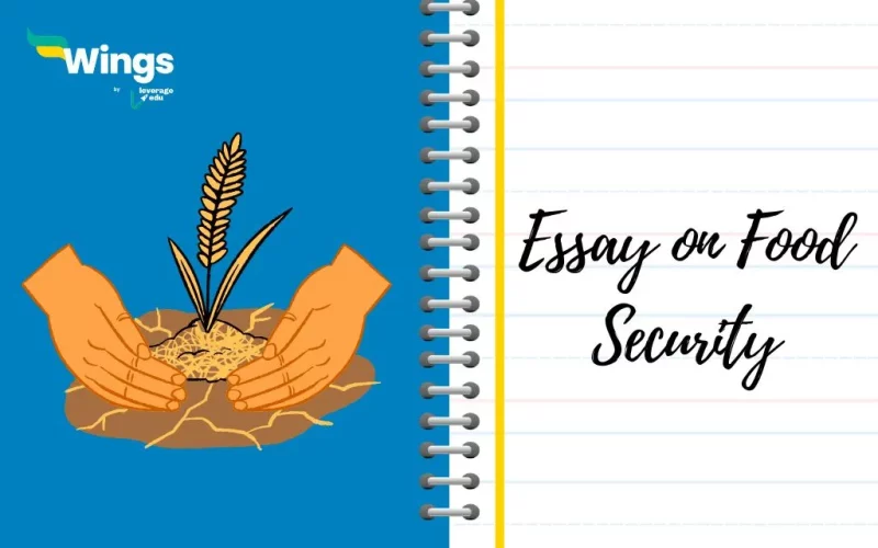 Essay-on-Food-Security