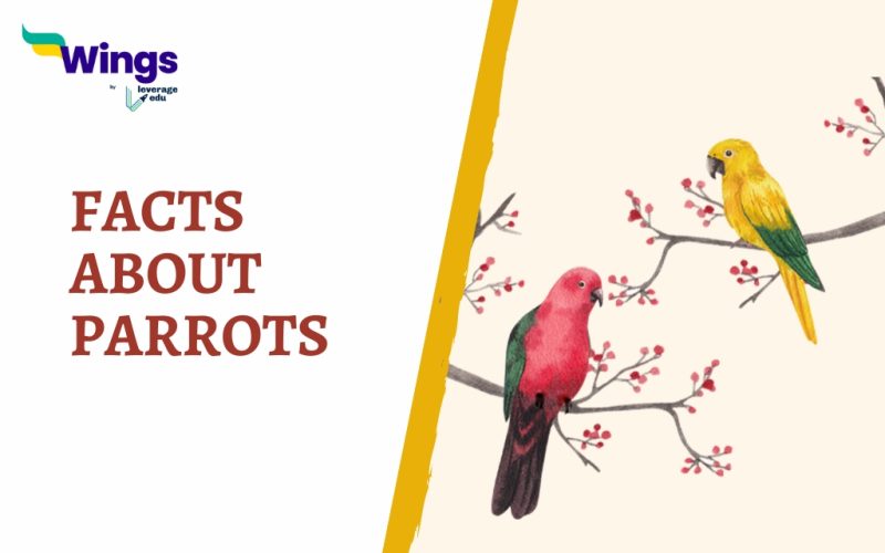 FACTS ABOUT Parrots