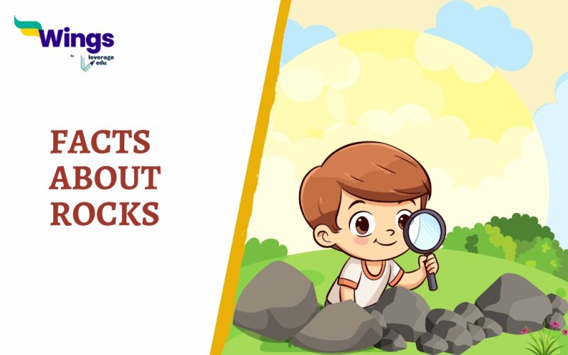 FACTS ABOUT ROCKS