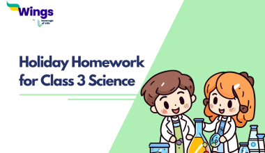 Holiday Homework for Class 3 Science