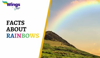 FACTS ABOUT RAINBOWS
