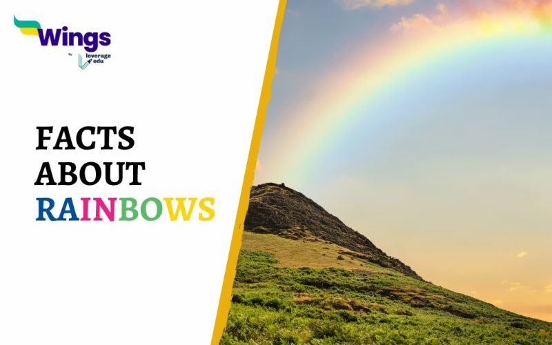 FACTS ABOUT RAINBOWS