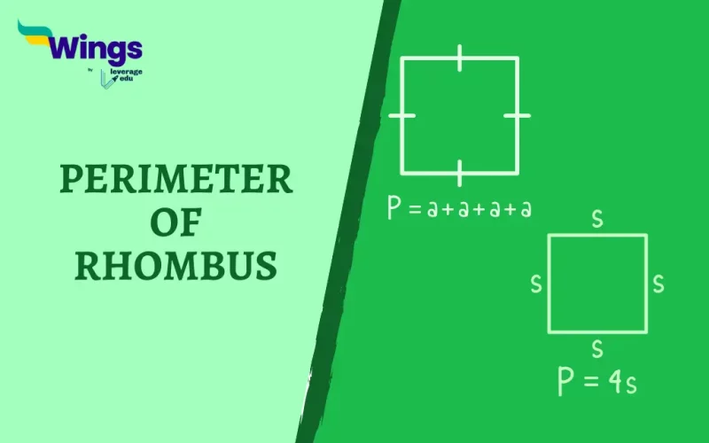 Perimeter of Rhombus