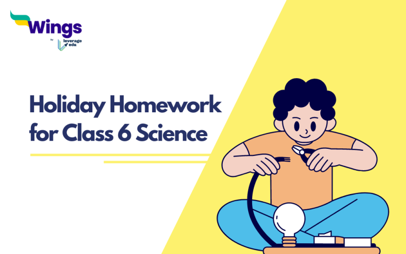 Holiday Homework for Class 6 Science