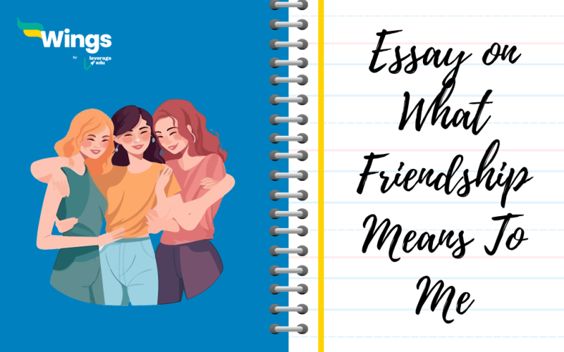 Essay on What Friendship Means To Me