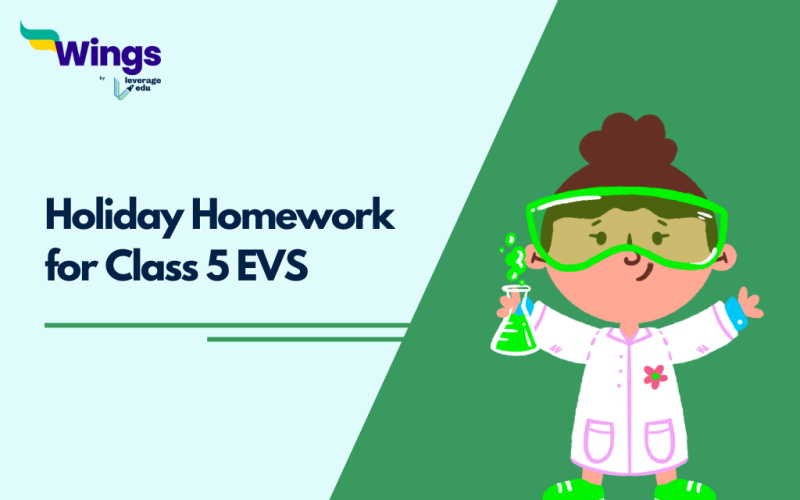 Holiday Homework for Class 5 EVS