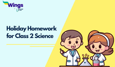 Holiday Homework for Class 2 Science