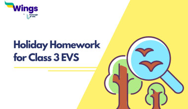 Holiday Homework for Class 3 EVS