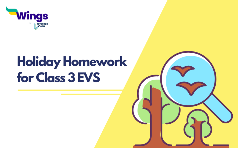 Holiday Homework for Class 3 EVS