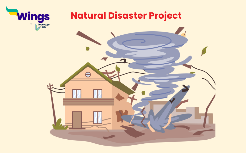 natural disaster project