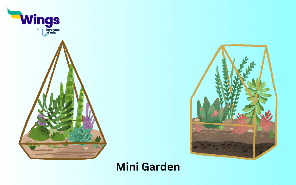 holiday homework for class 5 evs